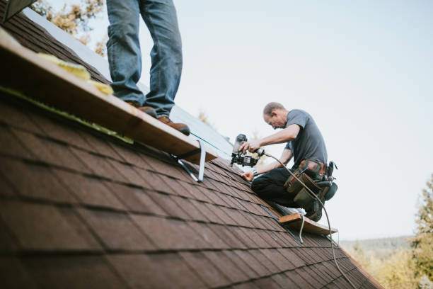 Best Residential Roofing Contractor  in Carmi, IL